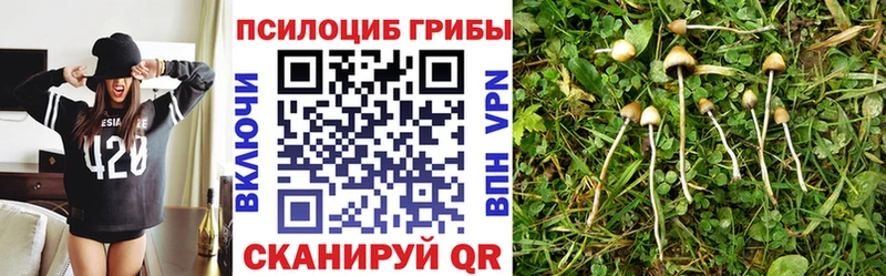 купить наркотики сайты  Юрьевец  Псилоцибиновые грибы прущие грибы 